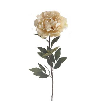 Παιώνια χρώμα "butter" 82cm