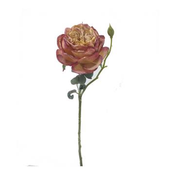 Τριαντάφυλλο Elisabeth, χρώμα "καμένου μήλου",44cm