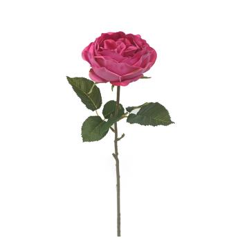 Τριανταφυλλο Elisabeth κρεμ/ροζ,51cm
