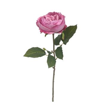 Τριανταφυλλο Elisabeth σε ροζ χρ.,51cm