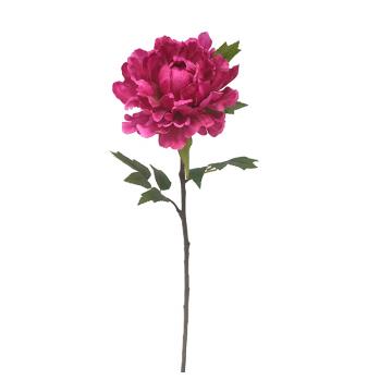 Παιώνια "Hot pink", 65cm