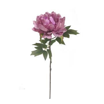 Παιώνια σε χρώμα βιολετί,  65cm