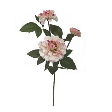 Ντάλια κλαδί με 3 άνθη κρεμ/ροζ,65cm