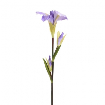 ΛΟΥΛΟΥΔΙ/ΚΛΑΔΙ ΜΩΒ 90 CM