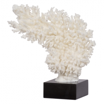 Artekko Coral Κοράλλι Διακοσμητικό σε Μαρμάρινη Βάση (29x11x29)cm