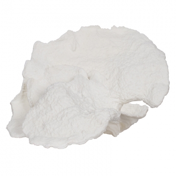 Artekko Coral Κοράλλι Διακοσμητικό (42x40x28)cm