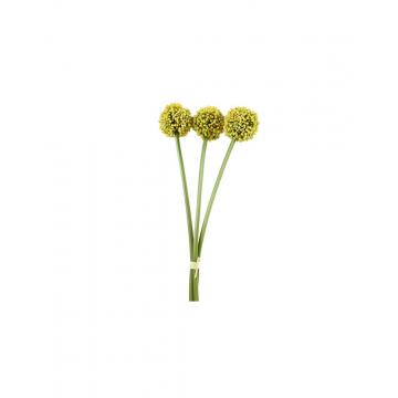 Allium κίτρινο Χ3  55εκ.