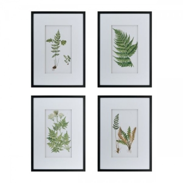 Artekko Botanical Λευκοί Πίνακες με Φυτά σε Μαύρη Κορνίζα (50x3x70)cm 4pcs