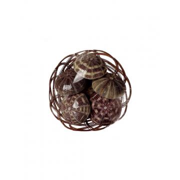 Αχινοί σε καλάθι 6pcs Φ7,5cm