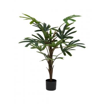 Bamboo πρασινάδα σε κασπώ 120εκ.
