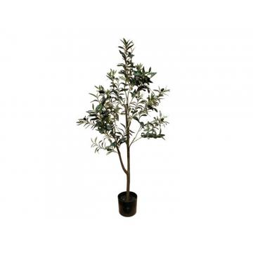 Ελιά δέντρο Η120cm