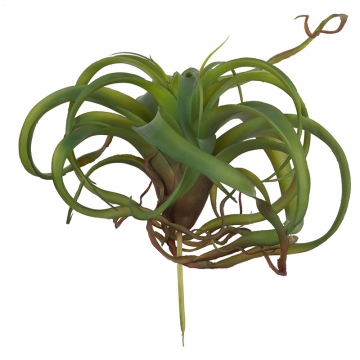 Artekko Faux Τεχνητό Φυτό Χωνευτό Αερόφυτο Πλαστικό Πράσινο (30x30x20)cm