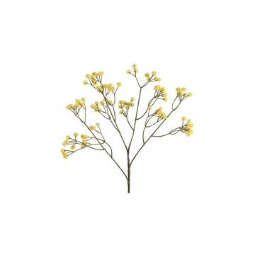 Gypsophilia κίτρινη 61εκ.