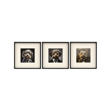 Κάδρο "FLUFFY DOG" /3σχέδια 40x40cm