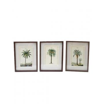 Κάδρο "Palm" 3σχέδια 30x40 cm