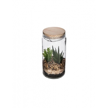 Κάκτοι σε γυαλ.terrarium 2σχ.11X22