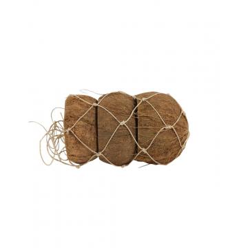 Καρύδα Φ10 Η14CM σ/3