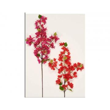 Kλαδί βουκαμβιλια  115cm