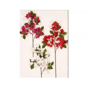 Κλαδί βουκαμβίλια 75cm