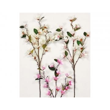KΛAΔI MANΩΛIA 95cm