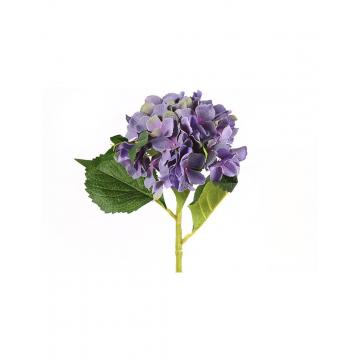 Κλαδί ορτανσία μωβ Η46cm