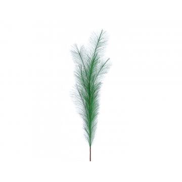 Κλαδί Pampas πράσινο 100cm