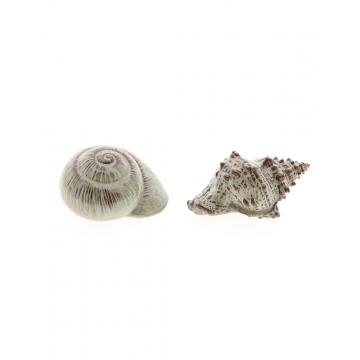 Κοχύλι καφέ 2σχέδια 18x11,5x19,5cm