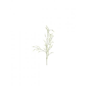 Melilotus κλαδί λευκό 115εκ.