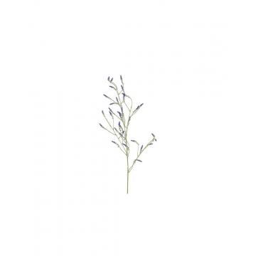 Melilotus κλαδί μωβ 115εκ.