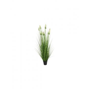 Neobartsia λευκή σε κασπώ 120εκ.