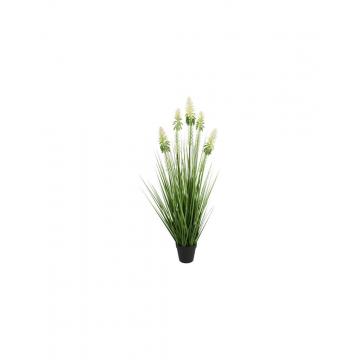 Neobartsia λευκή σε κασπώ 90εκ.