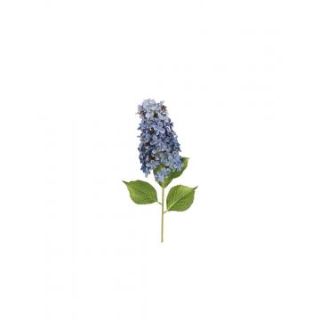 Ορτανσία Paniculata κλαδί μπλε 83εκ.