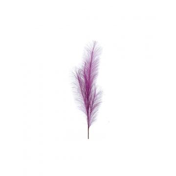 Κλαδί Pampas μωβ 80cm