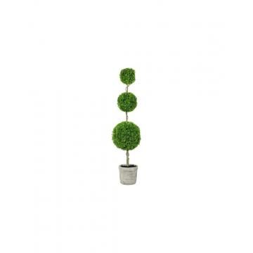 Πρασινάδα Buxus 3πλο 119εκ.