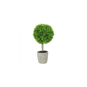 Πρασινάδα Buxus 40εκ.