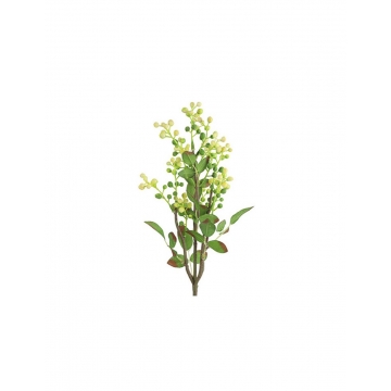 Prunus κλαδί κίτρινο