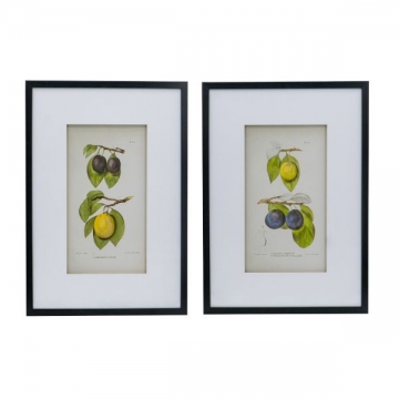Artekko Botanical Πίνακας με Κορνίζα Πλαστικό Γυαλί Μαύρο Κίτρινο (50x3x70)cm Σετ/2